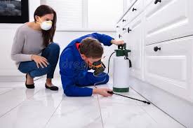 Best Pest Prevention Services  in Haskell, TX